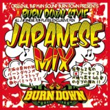 100% JAPANESE DUB PLATES MIX CD "BURN DOWN STYLE" 【-JAPANESE MIX- 】