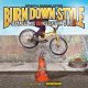 "BURN DOWN STYLE"【JAPANESE MIX】-IRIE SELECTION 2-