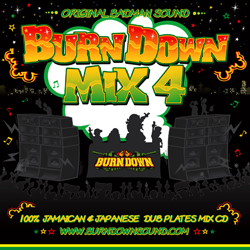 100% DUB PLATES MIX CD 【BURN DOWN MIX 4】
