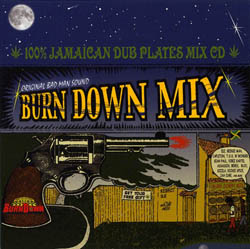 100% JAMAICAN DUB PLATES MIX CD 【BURN DOWN MIX】