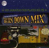 画像: 100% JAMAICAN DUB PLATES MIX CD 【BURN DOWN MIX】