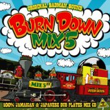 画像: 100% DUB PLATES MIX CD 【BURN DOWN MIX 5】