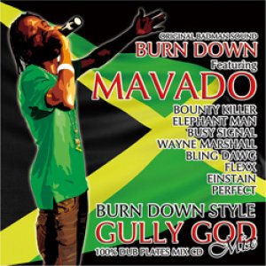 画像: 100% DUB PLATES MIX CD "BURN DOWN STYLE" 【-GULLY GOD MIX-】