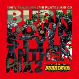 画像: 100% DUB PLATES MIX CD "BURN DOWN STYLE" 【-ANTHEM MIX 2-】