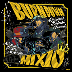 100% DUB PLATES MIX CD 【BURN DOWN MIX 10】 - SOUTH YAAD MUZIK WEB