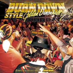画像1: 100% DUB PLATES MIX CD "BURN DOWN STYLE" 【-GOLDEN DANCEHALL MIX 2-】